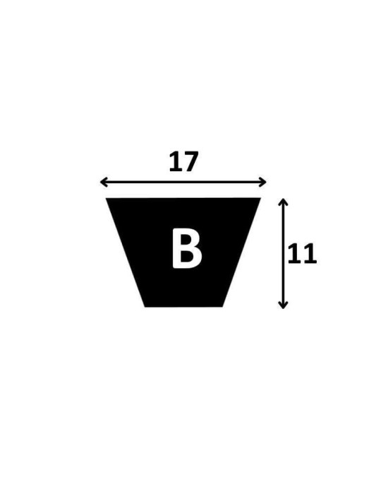 Correa Trapecial B42