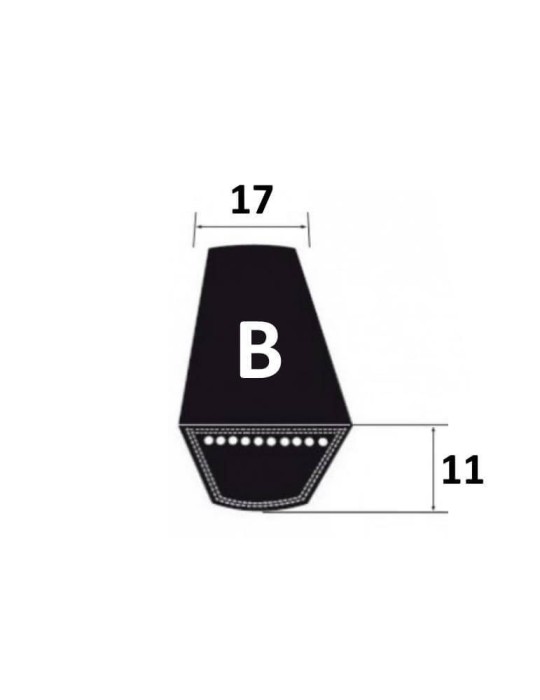 Correa de transmisión B144